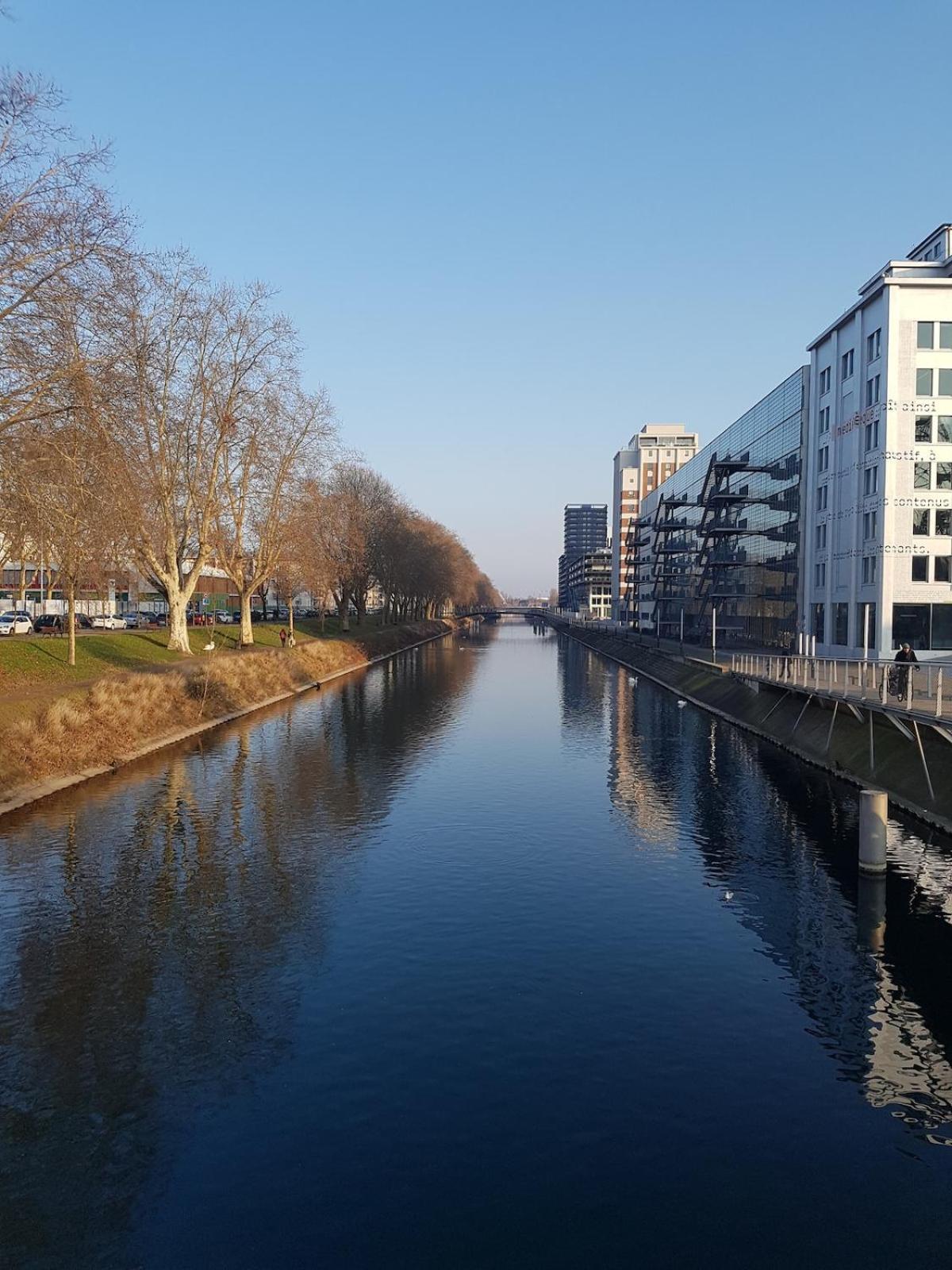 Apartment Le 11 - Terrasse Et Jardin A 10 Minutes A Pieds Du Centre-ville Strasbourg